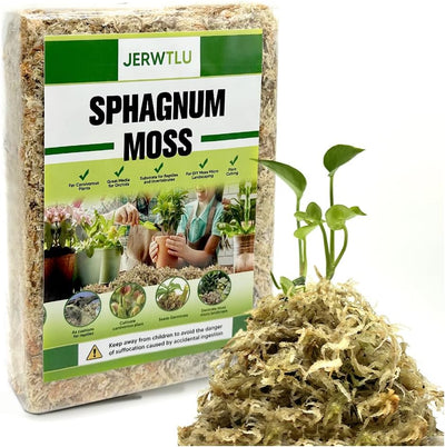 Musgo esfagnum fibra larga 34qt para orquídeas y plantas