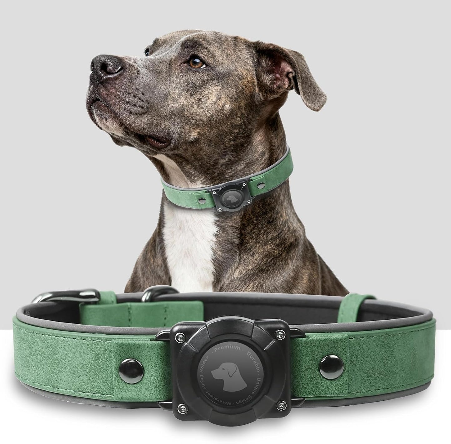 Collar perro AirTag cuero impermeable GPS duradero verde