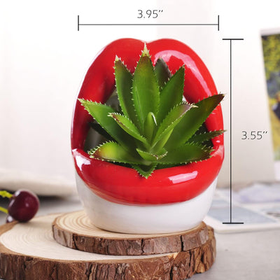 Maceta cerámica suculenta roja