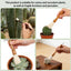 Cepillos cactus asa madera cerdas cabra jardín 3 tamaños