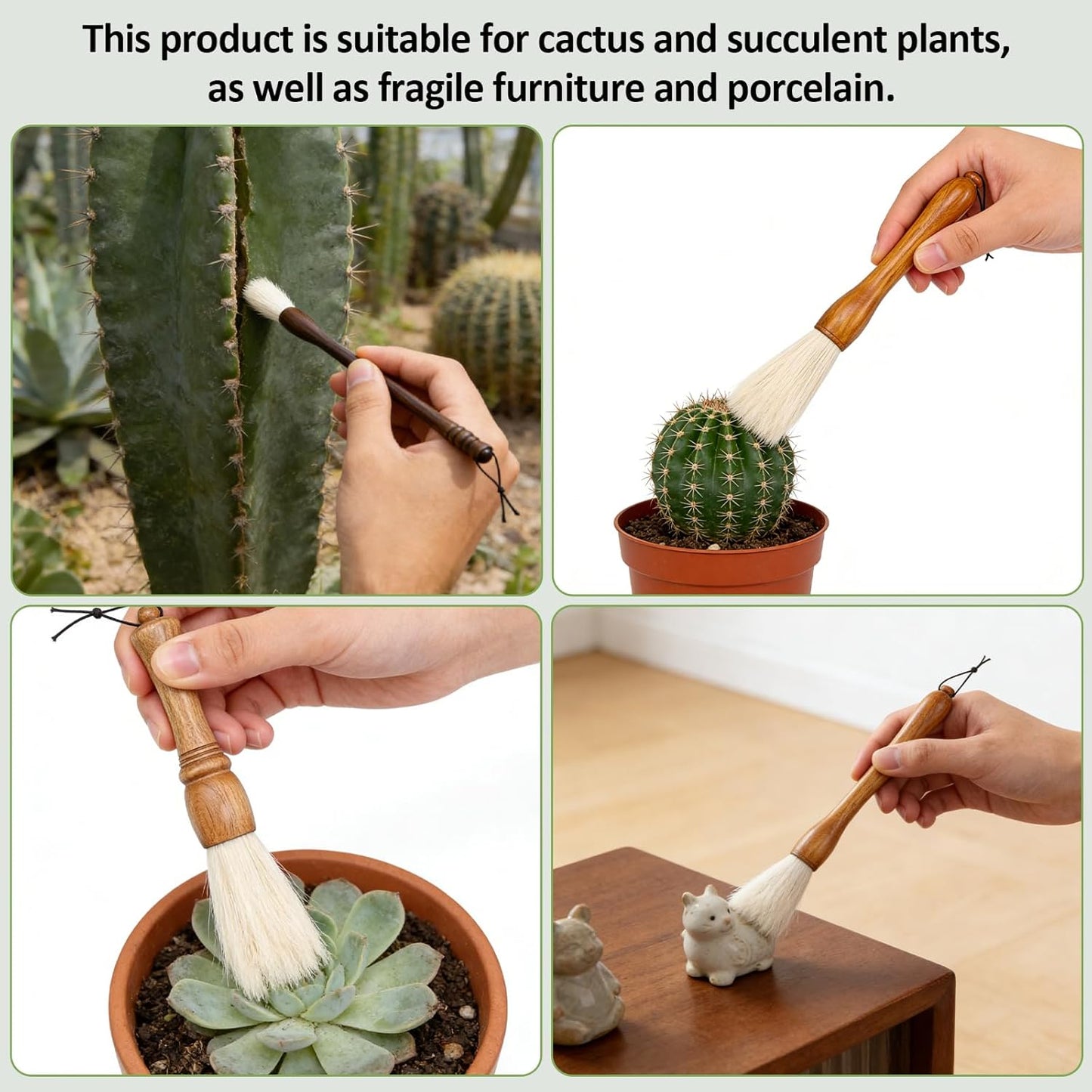 Cepillos cactus asa madera cerdas cabra jardín 3 tamaños