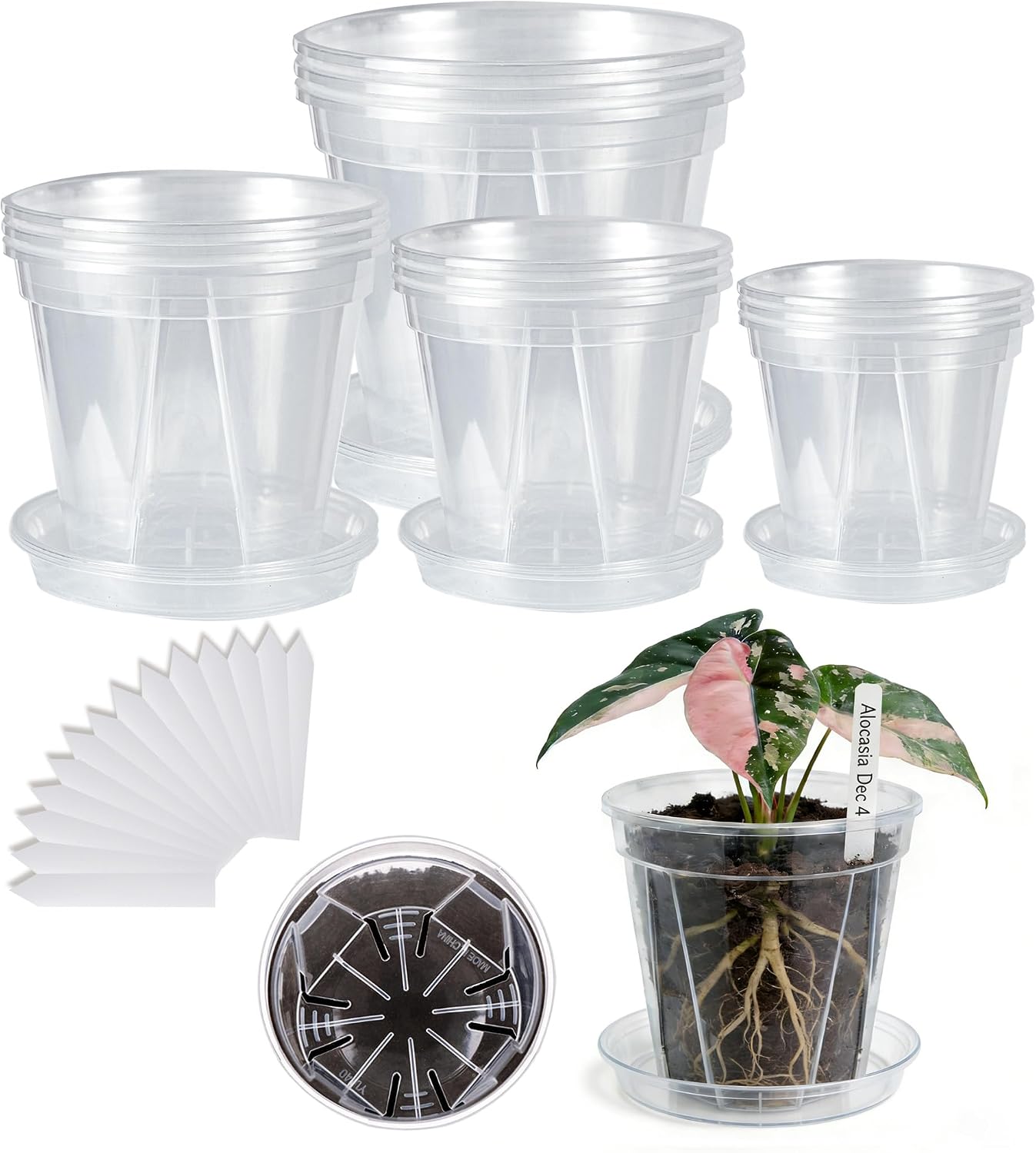 12 Macetas Plástico Transparente con Platillos 4-6.3pulg Drenaje