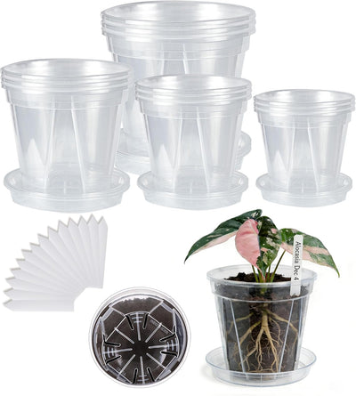 12 Macetas Plástico Transparente con Platillos 4-6.3pulg Drenaje