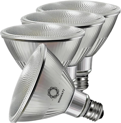 Bombilla LED PAR38 vidrio 5500K
