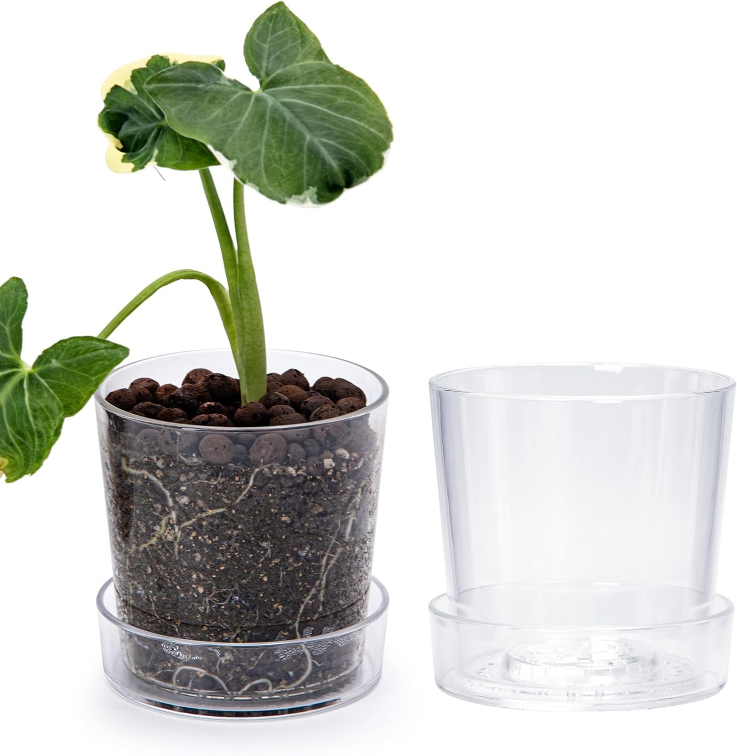 Maceta acrílico transparente 4.5pulg con bandeja orquídea