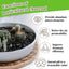 Carbón hortícola para plantas de interior suculento 10oz