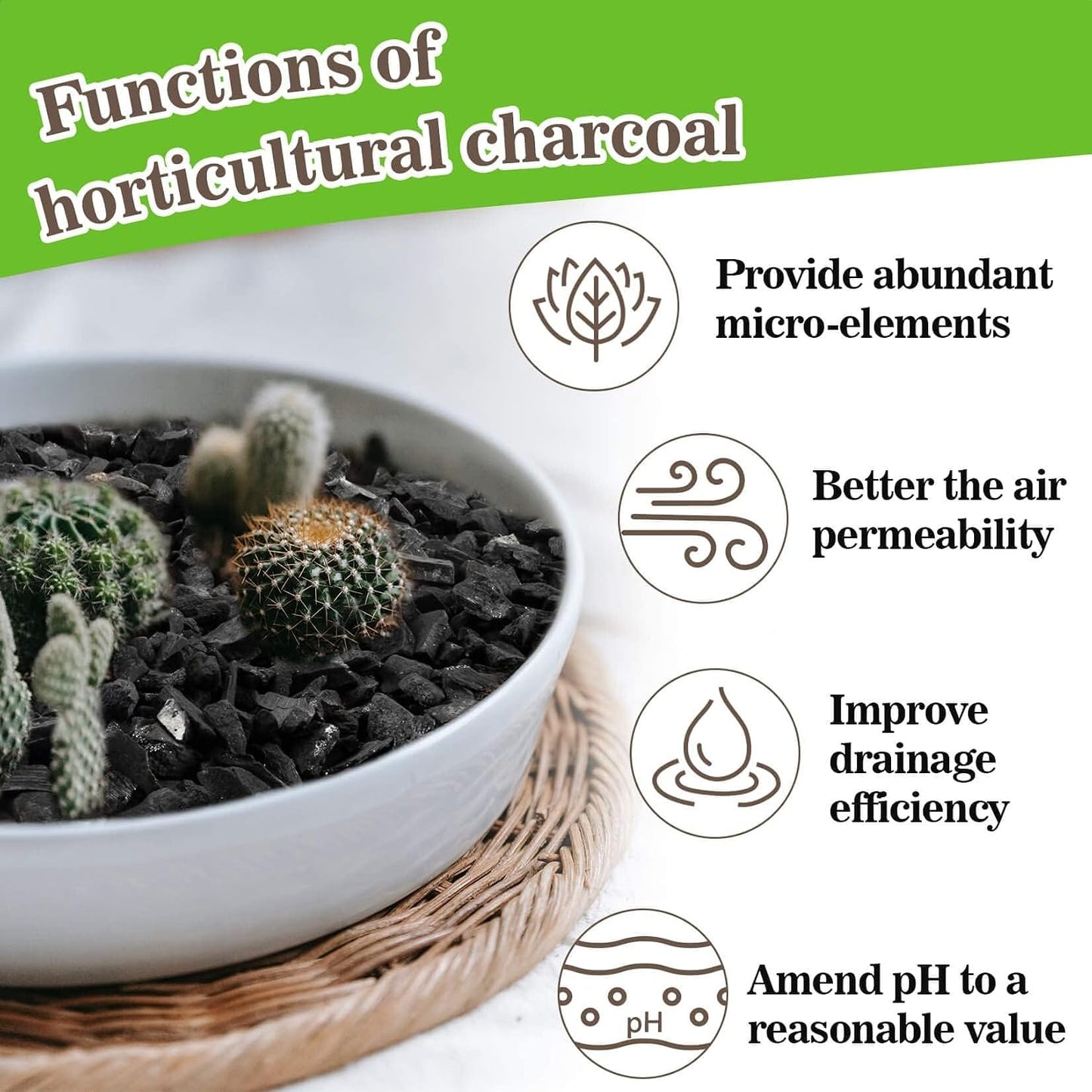 Carbón hortícola para plantas de interior suculento 10oz