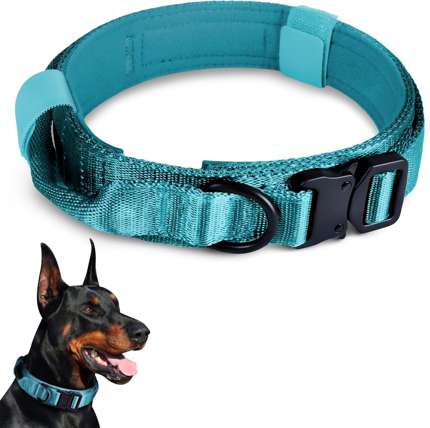 Collar perro militar ajustable con hebilla metal azul L