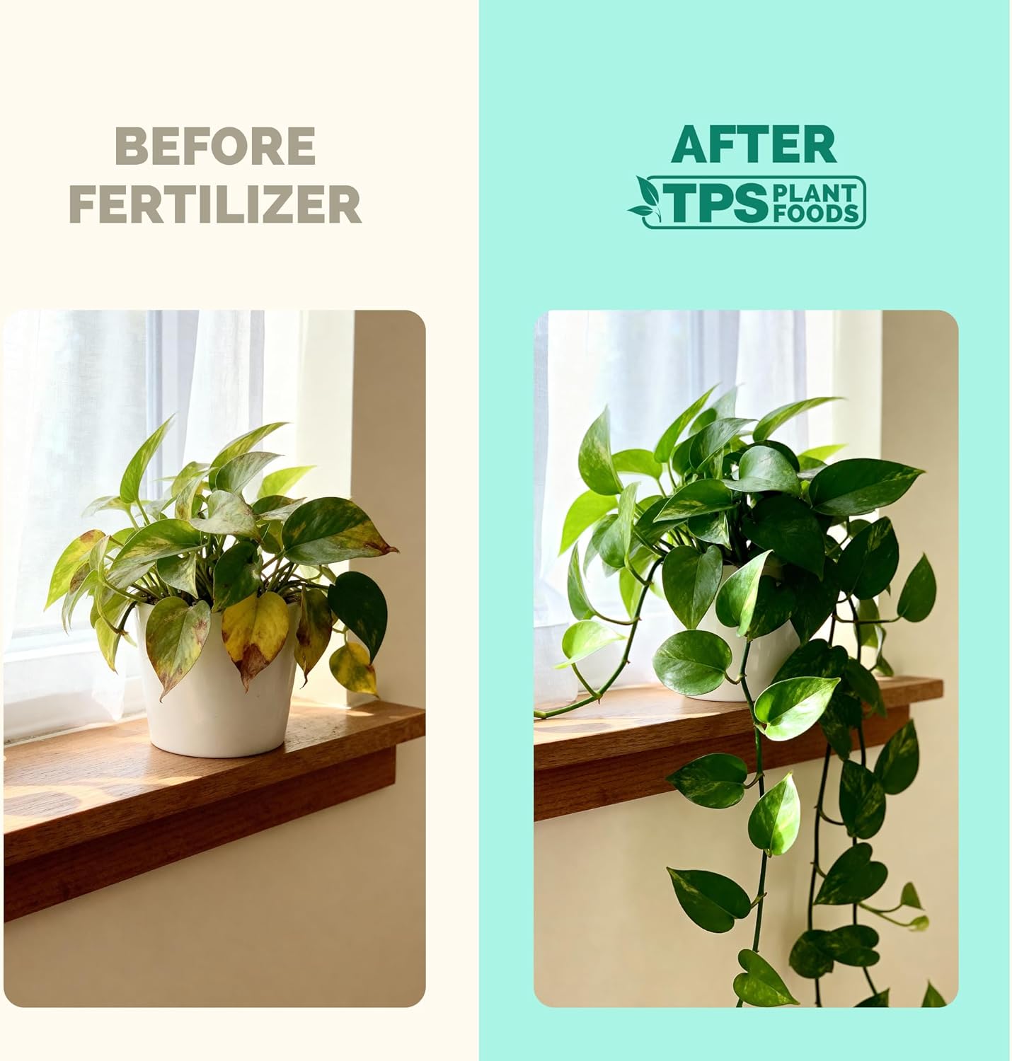 Fertilizante líquido para plantas de interior 8oz