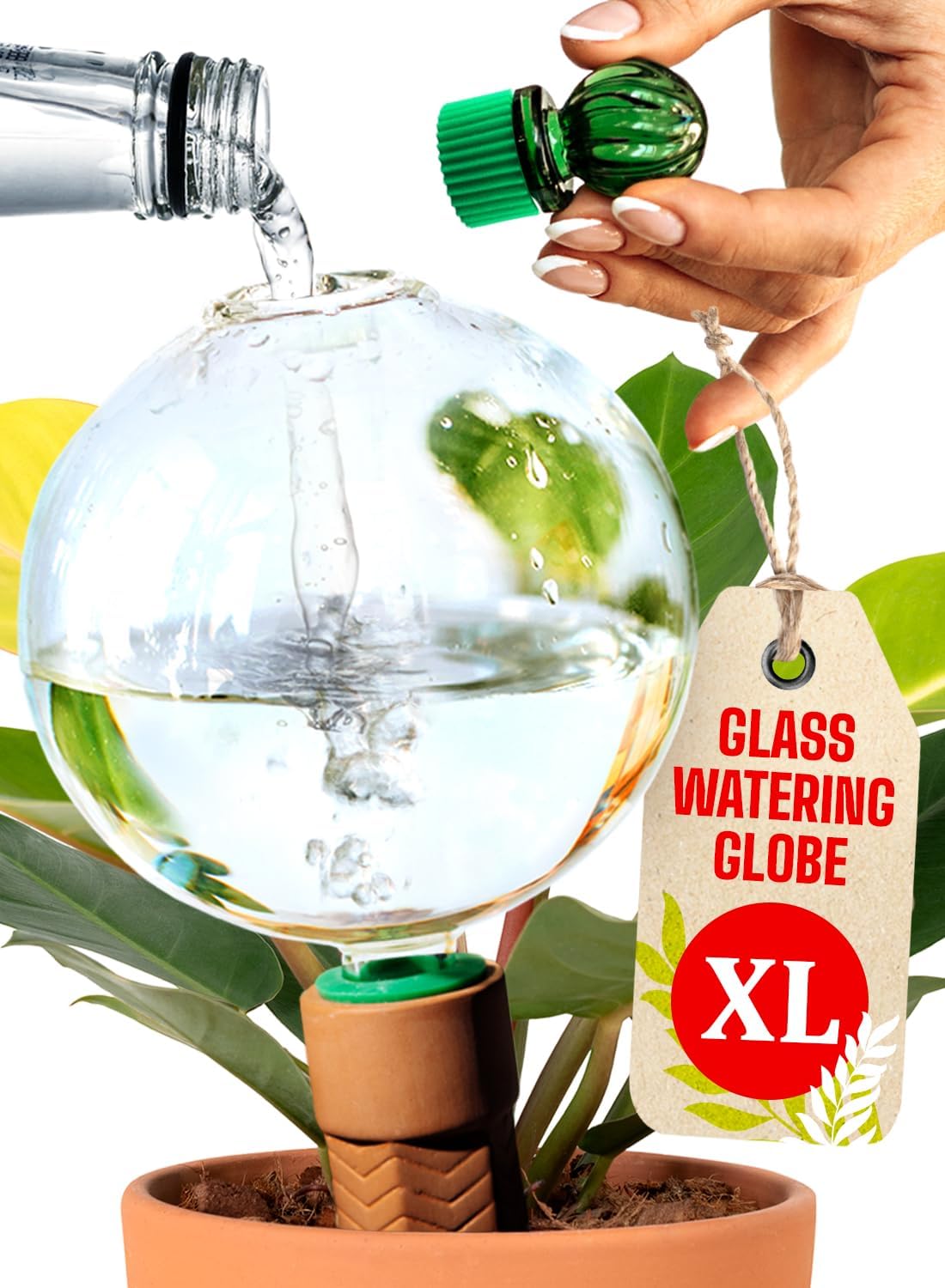 Globos riego 16oz para plantas interiores con bebedero automático