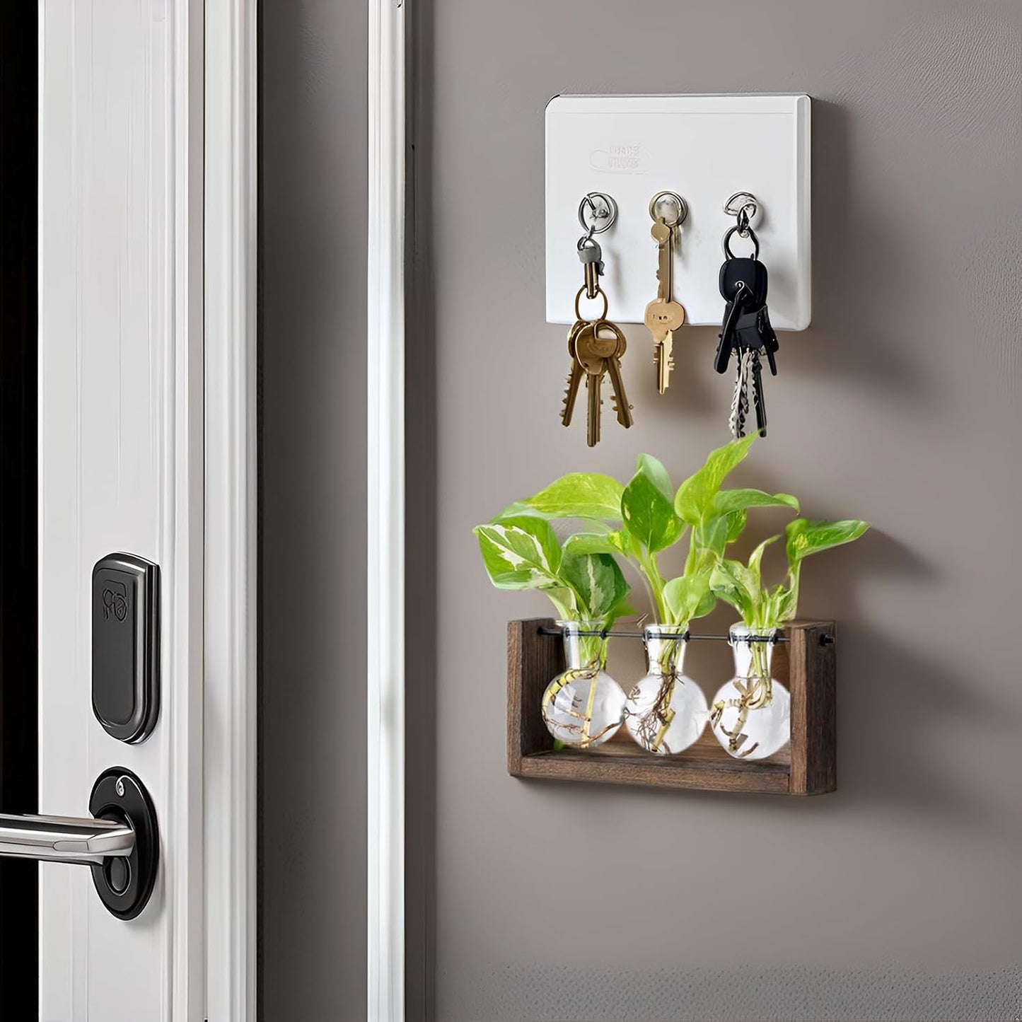 Soporte propagación plantas madera maceta vidrio decoración