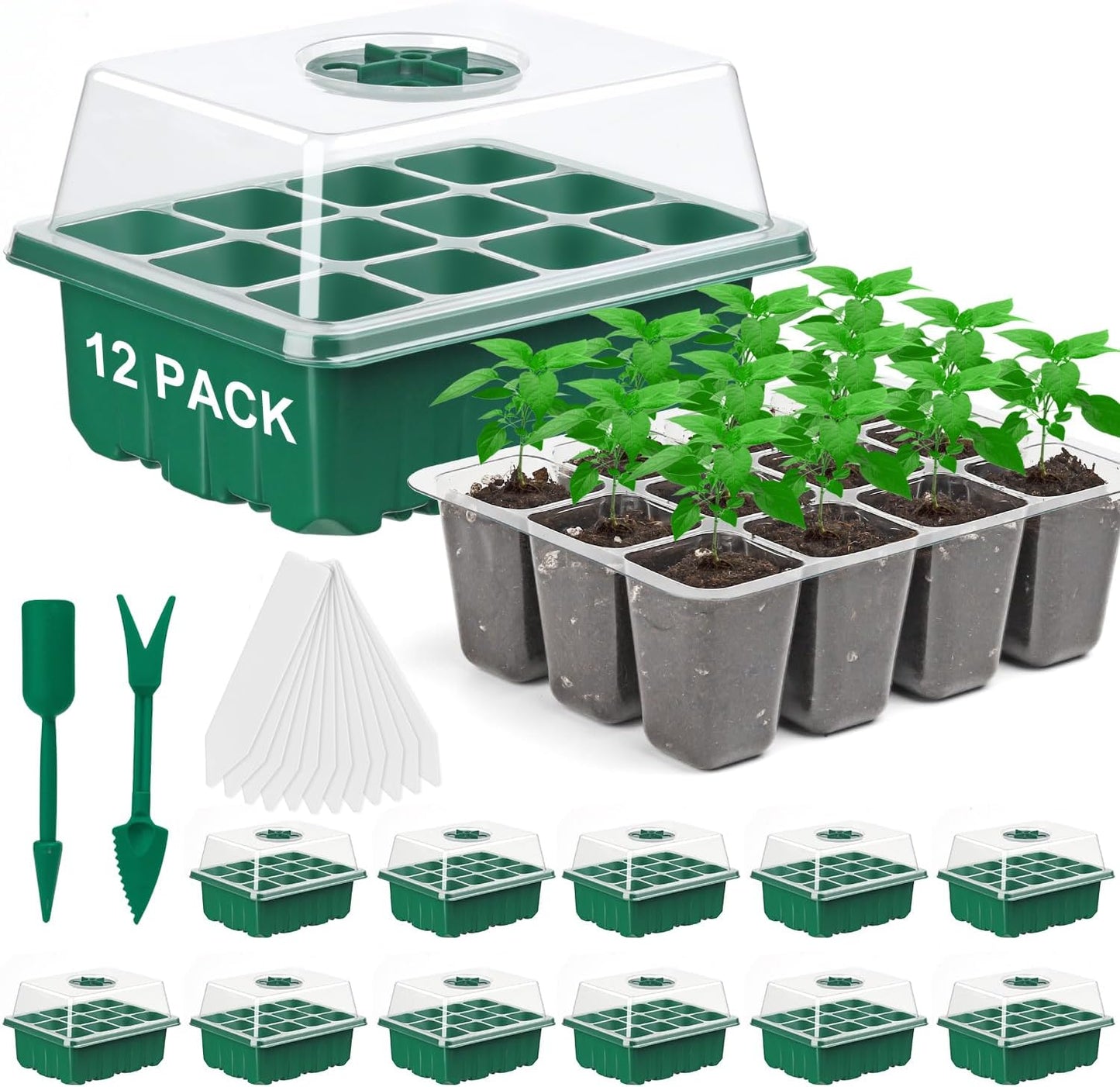 Pack 12 Bandejas Semillas 144 Celdas Cúpula Ajustable