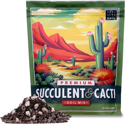 Tierra para suculentas y cactus con piedra pómez drenaje rápido