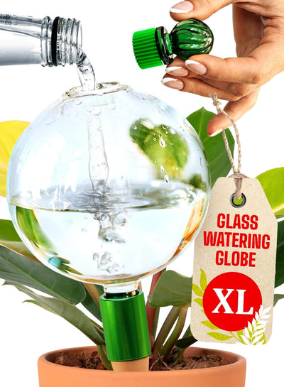 Globos riego 16oz para plantas interior con inserto terracota