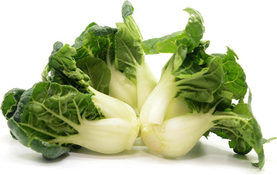 1000 semillas Bok Choy enanas para plantar embalaje impermeable