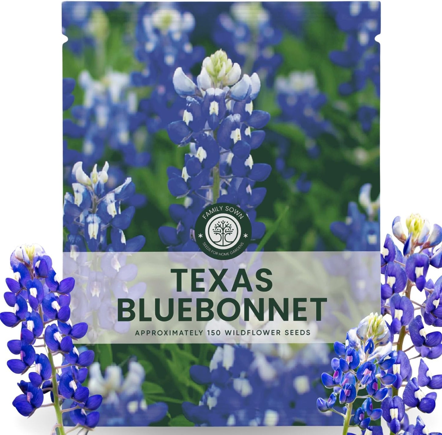 Semillas Texas Bluebonnet 150 unidades 0.18oz