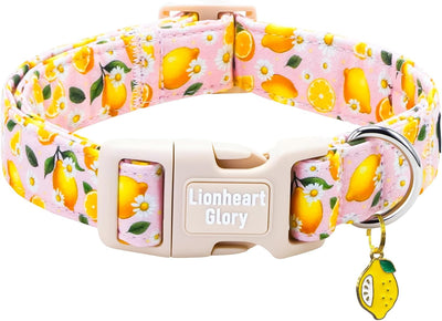 Collar perro primavera verano diseño flor limón ajustable L