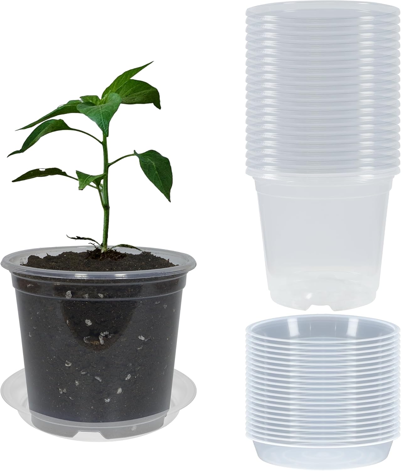20 Macetas Transp. 4pulg Drenaje y 20 Platillos para Plantas