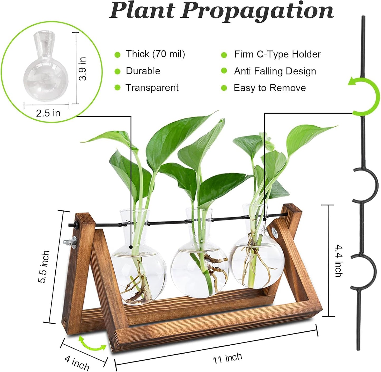 Estación propagación plantas 3 jarrones vidrio oficina