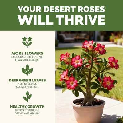 Fertilizante líquido para Desert Rose 8oz