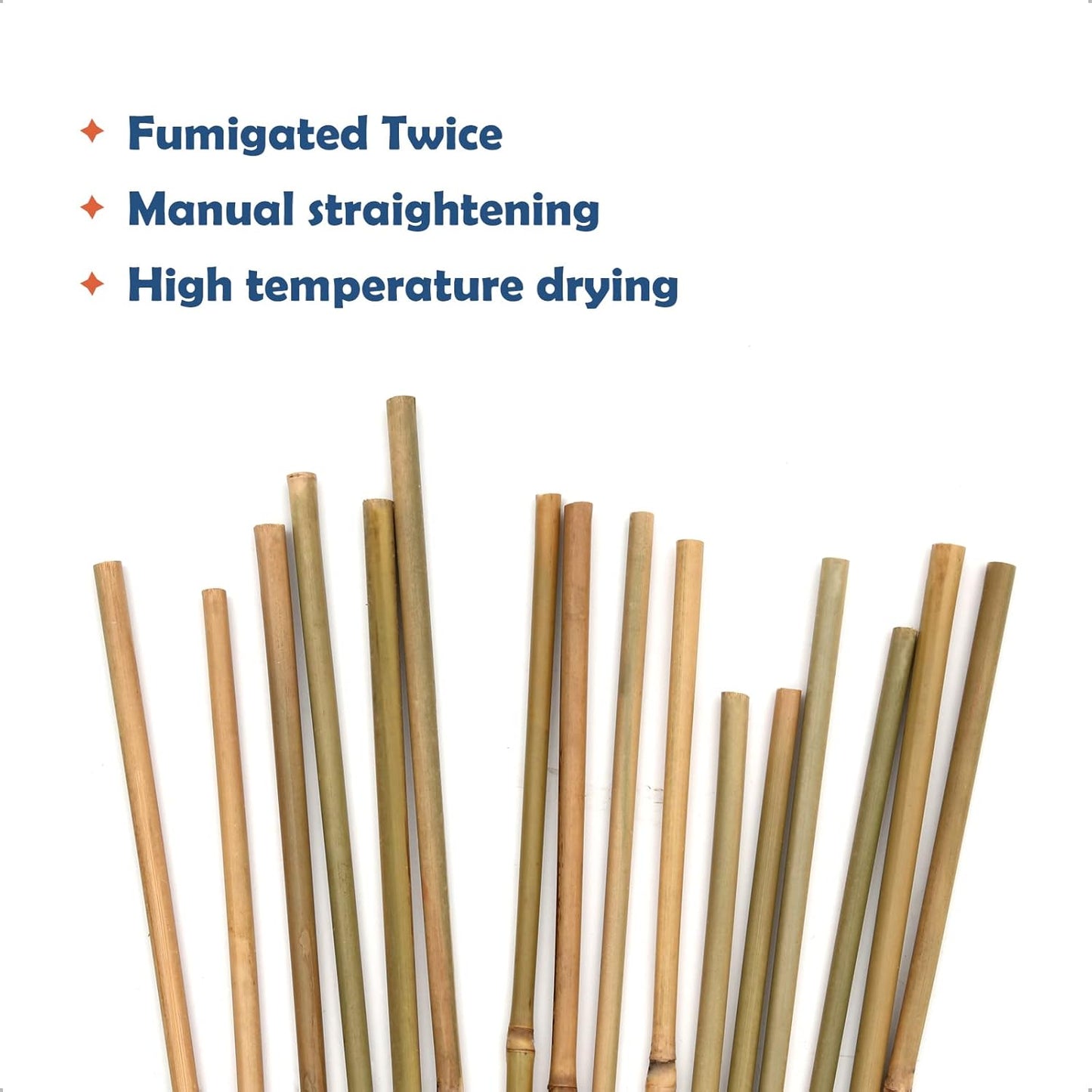 Varillas bambú 16pulg soporte plantas trepadoras set 30