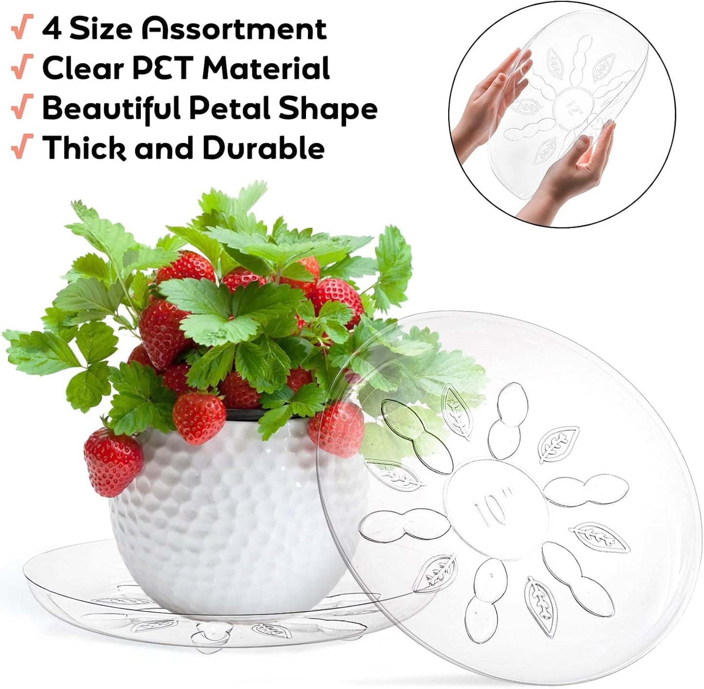 24 Platillos Transparentes para Plantas 6/8/10/12pulg Redondas