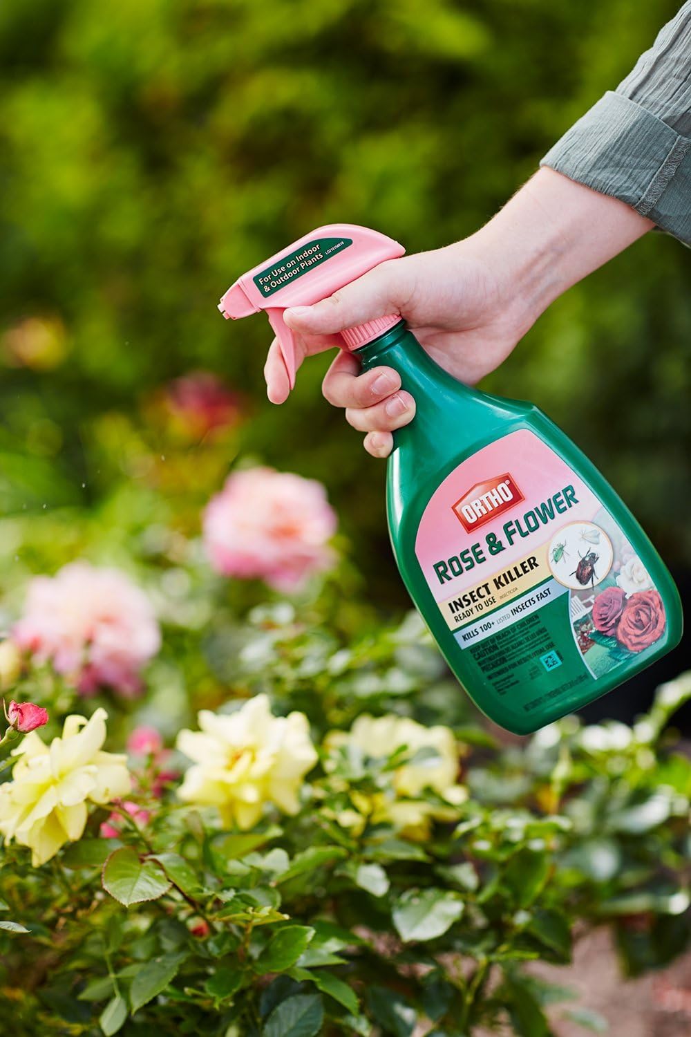 Asesino de insectos para rosas y flores 24oz