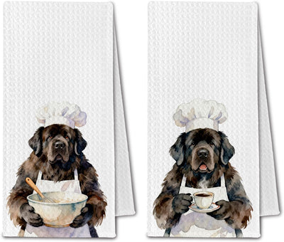 Toallas de cocina para mujer con perros de Newfoundland 16x24 pulgadas set de 2
