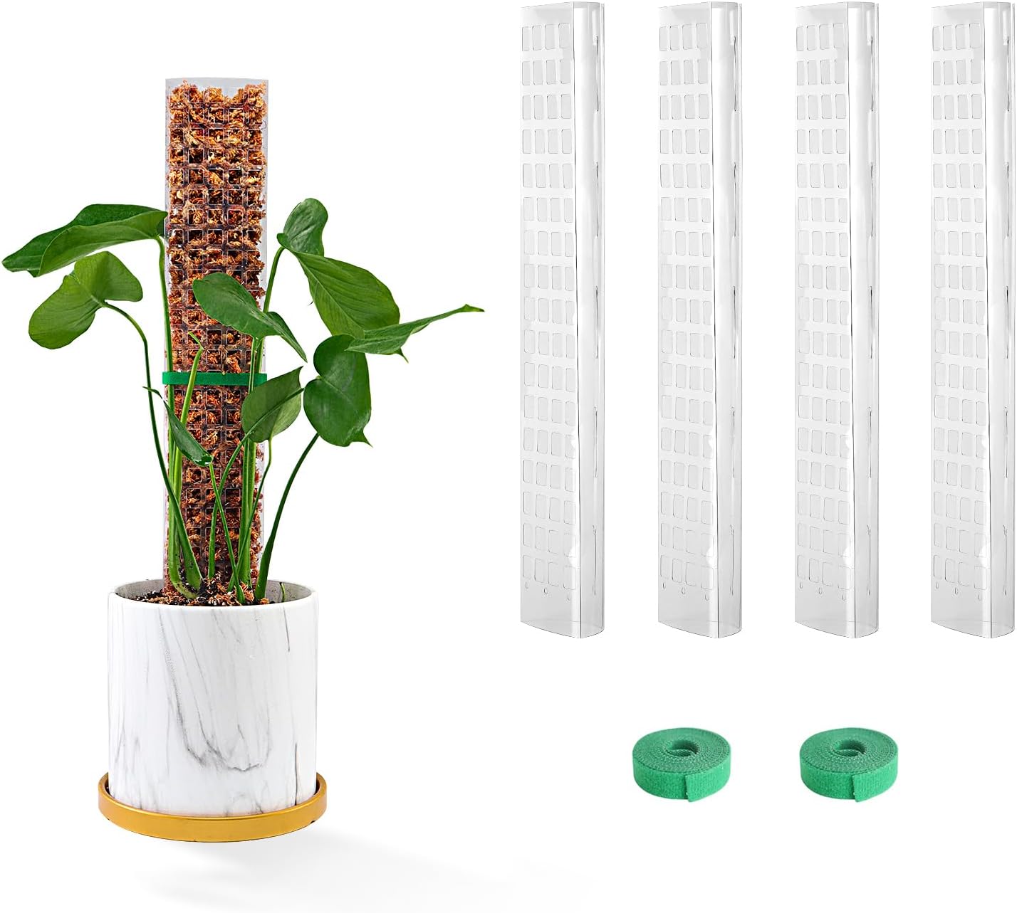 4 Postes Plástico 15pulg para Monstera y Plantas Trepadoras