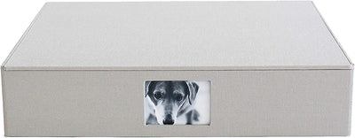 Caja almacenamiento fotos grande color platino