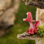Figura hadas y terrario dragón rojo