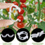 30 Ganchos Tomate con Cuerda 33.3pies para Soporte y Clips