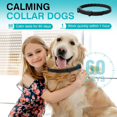 Collar feromonas calmante perros 6 paquetes 60 dias