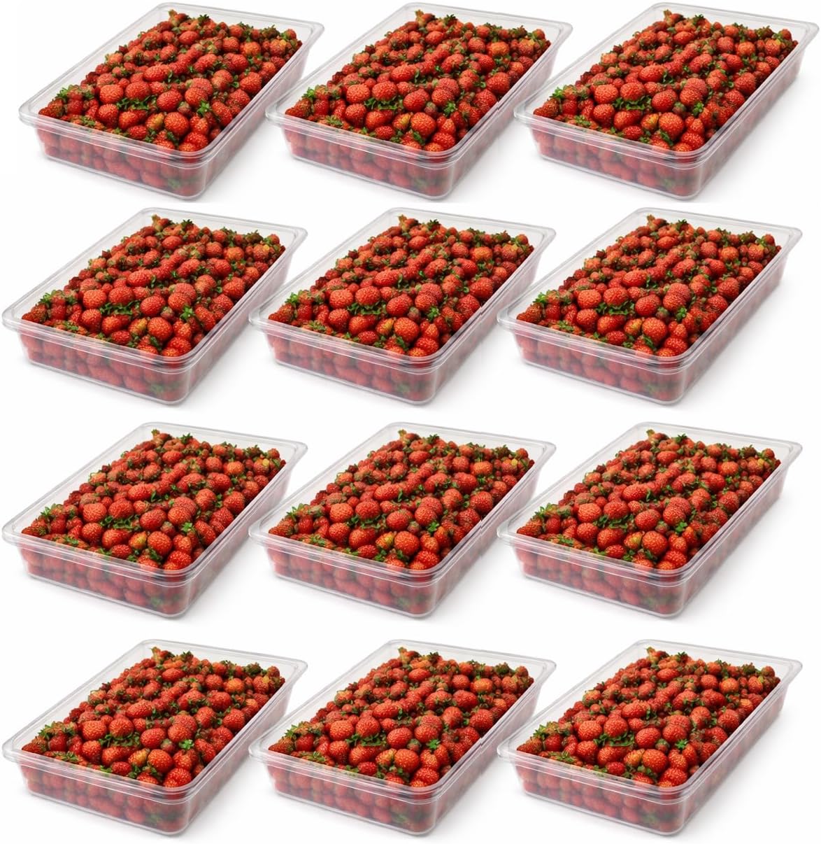 Set 12 Sartenes Policarbonato Transparente 4pulg Profundidad