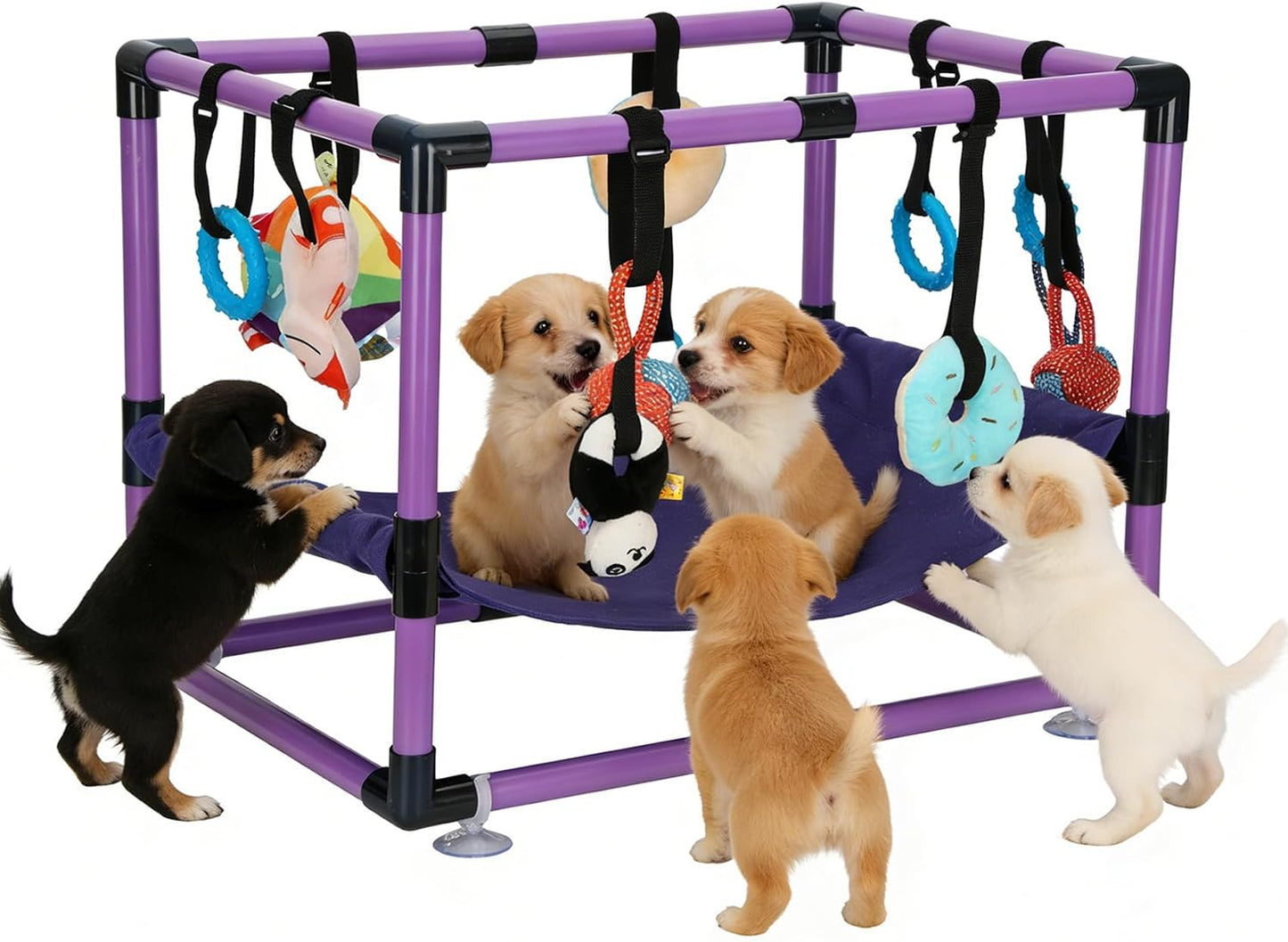 Gimnasio perros con 8 juguetes colgantes hamaca PVC