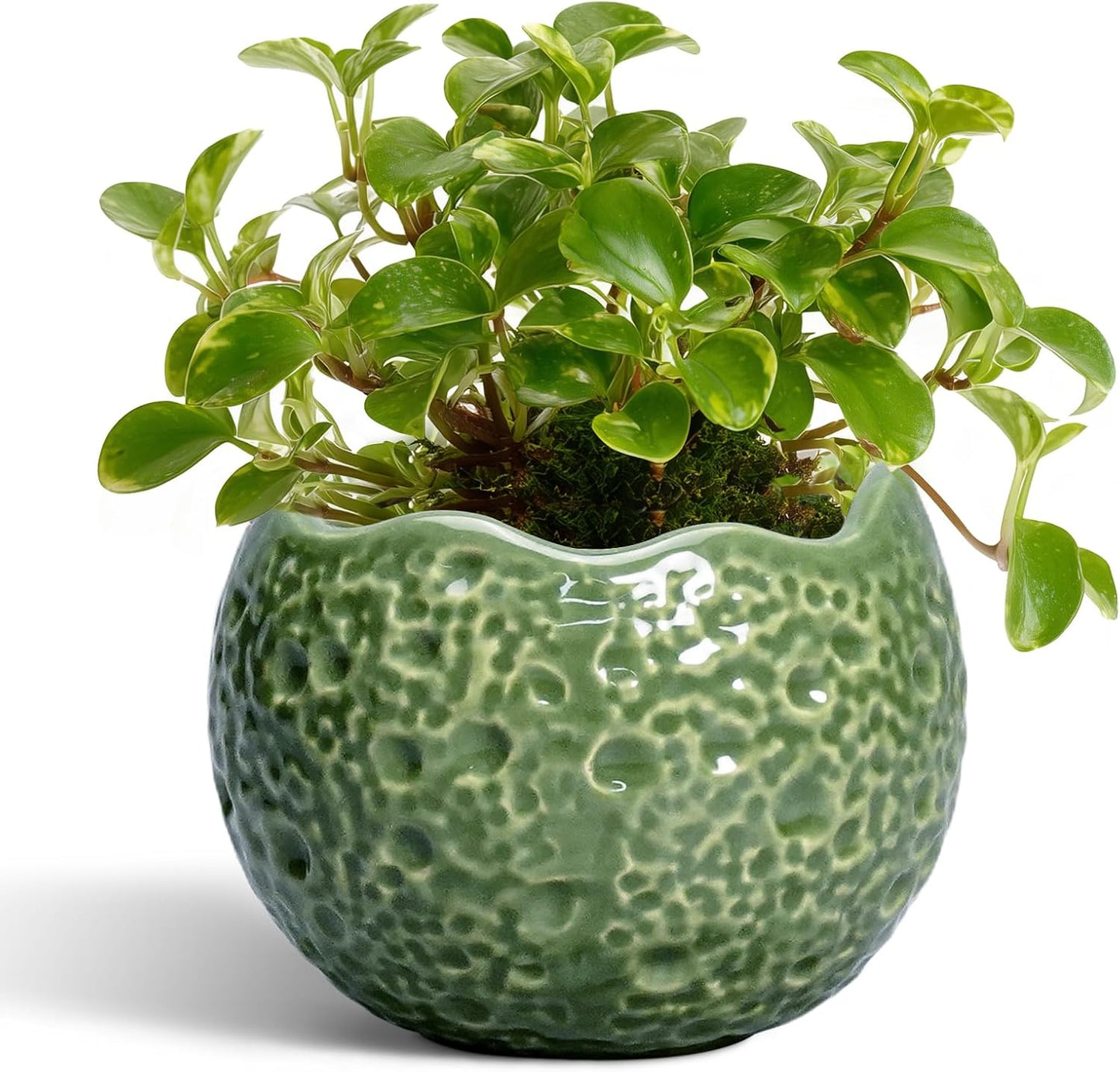 Maceta Cerámica 4pulg Agujero Drenaje Decorativa