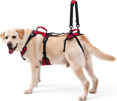Arnés elevación perros XL con asas dobles para artritis y lesiones