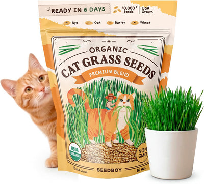 Semillas hierba gato orgánicas sin GMO 453g