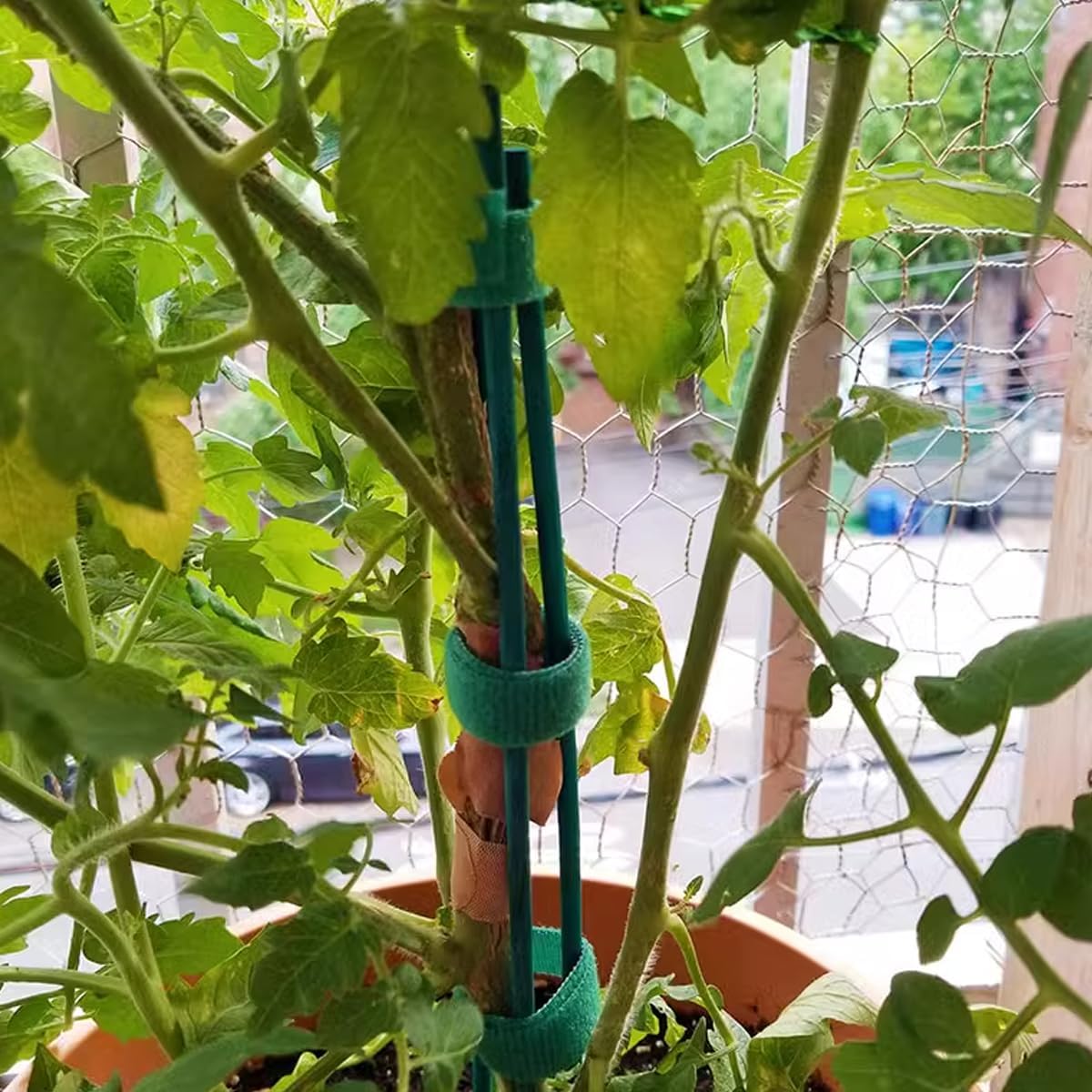 100 Estacas Jardín Madera 18pulg con 100 Lazos 4pulg Bambú Verde