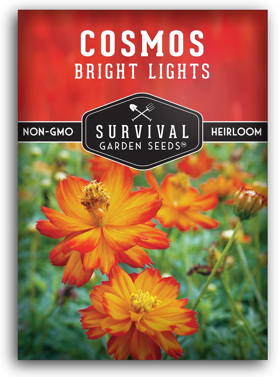 Semilla Cosmos Bright Lights con instrucciones para cultivar