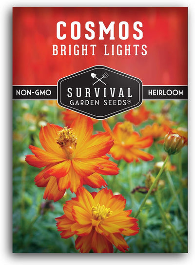 Semilla Cosmos Bright Lights con instrucciones para cultivar