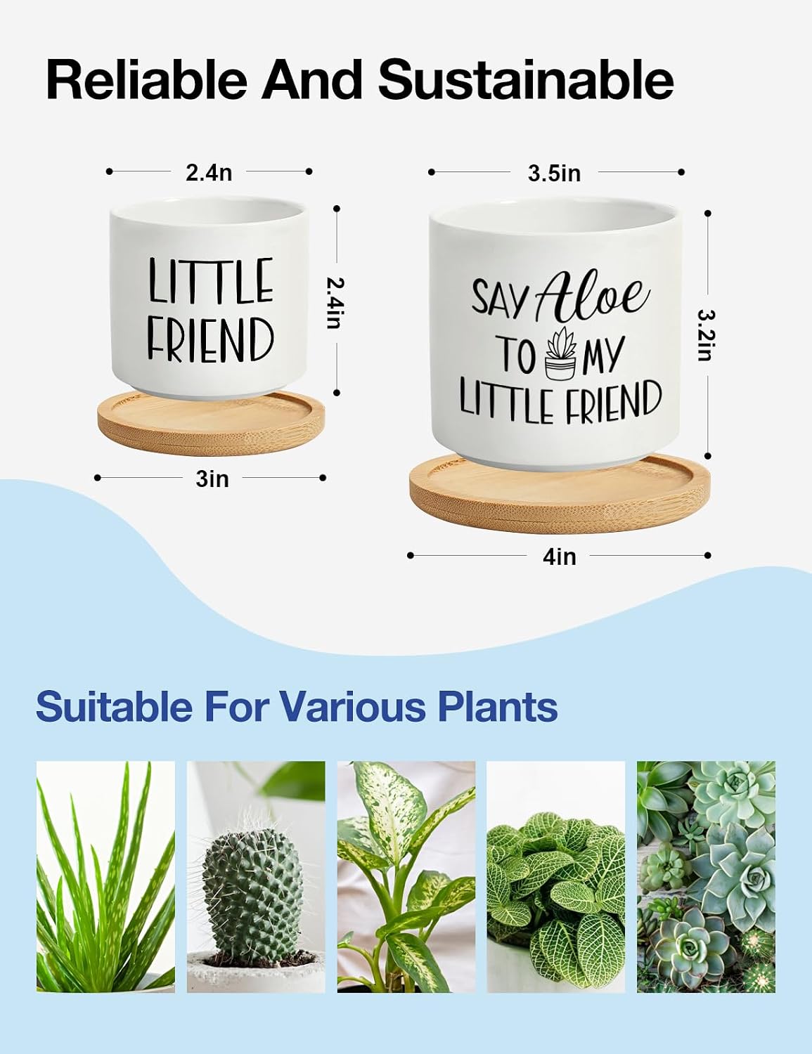 2 Pzas Macetas 3.5pulg Say Aloe para Suculentas