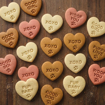 Set 10 Cortadores Corazón Perro para Hornear Fondant