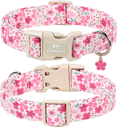 Collar perro rosa con flores hebilla plástico ajustable