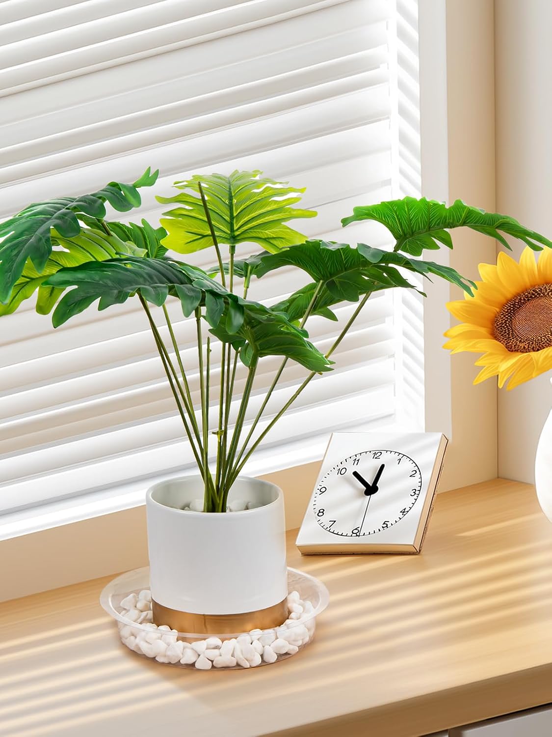 15 Platillos Plástico 6pulg para Plantas con Etiquetas