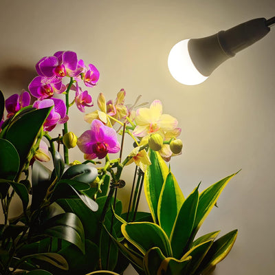 Bombilla LED A19 E26 espectro completo 11W para plantas paquete 2