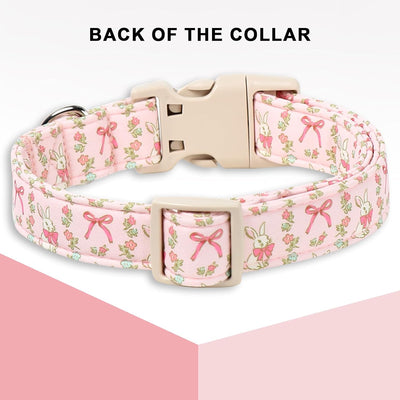 Collar perro Pascua conejo rosa hebilla plástico ajustable