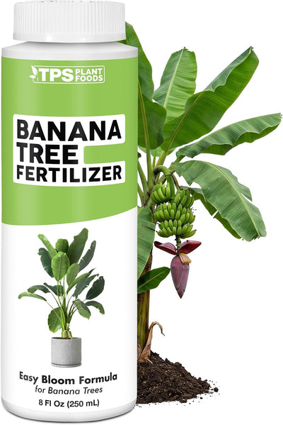 Fertilizante líquido para árbol plátano 8oz