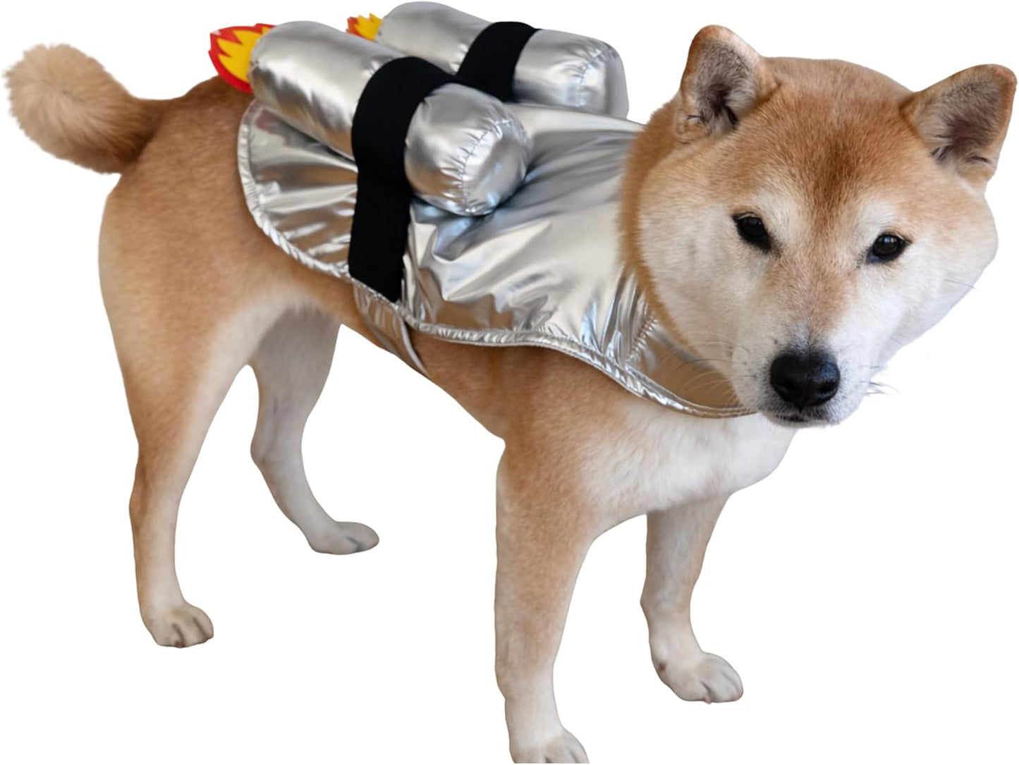 Disfraz cohete espacial perro XXS XXL astronauta Halloween