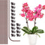 10 Estacas Soporte Plantas 15.7pulg con 15 Clips Marrón